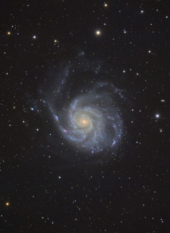 M101