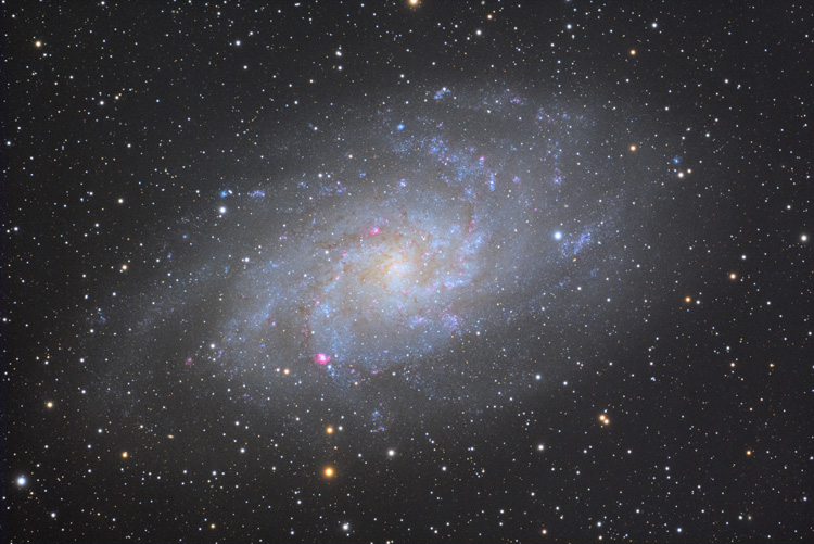 M33