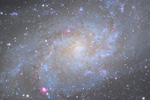 M33