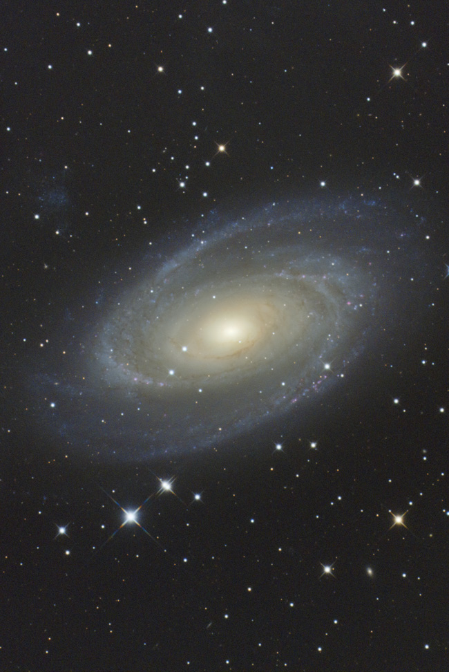 M81