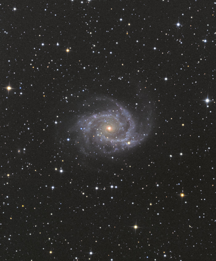 NGC2997