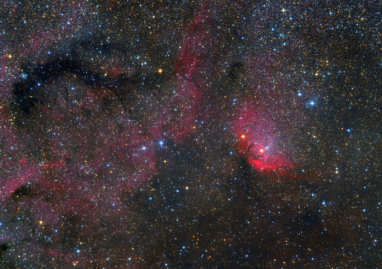 チューリップ星雲 Sh2-101