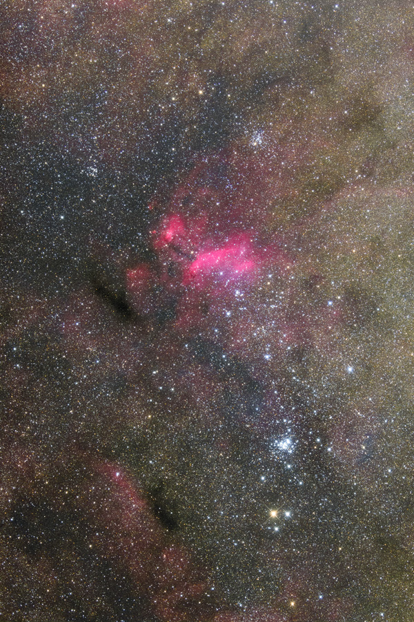 IC4628