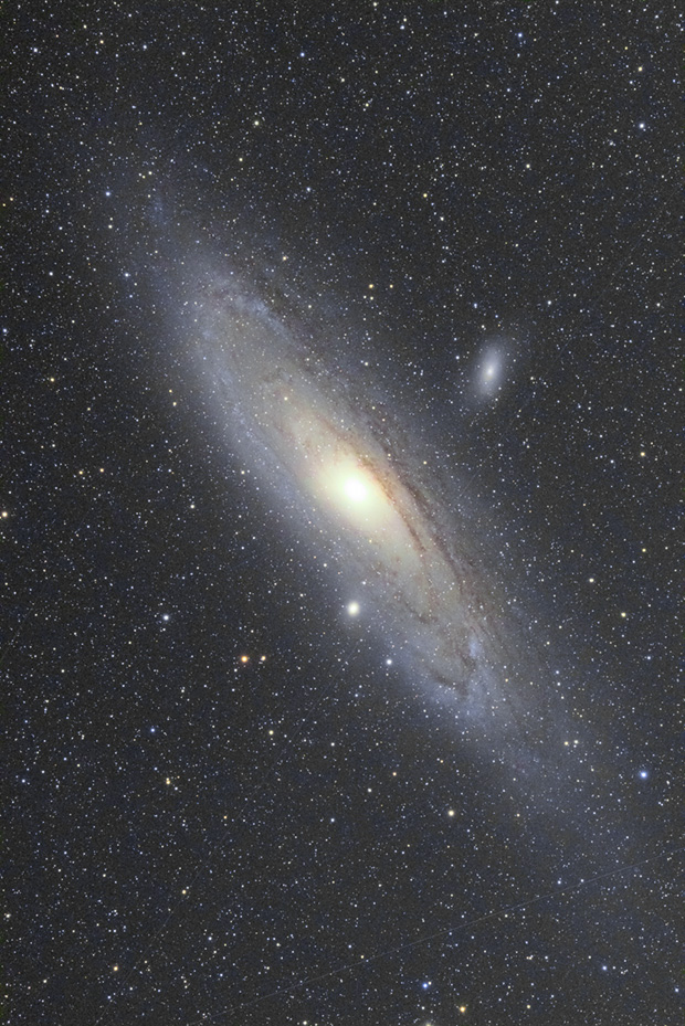 M31