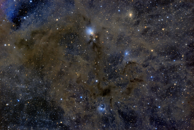 NGC1333��vdB16