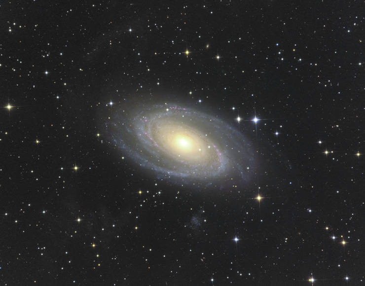 M81