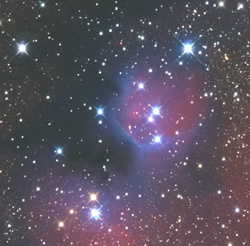 NGC6559t