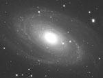 M81Q