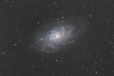 M33