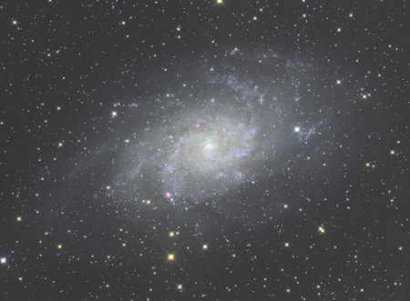 M33