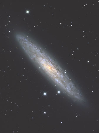 NGC253