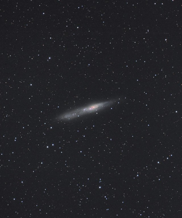 傤NGC55