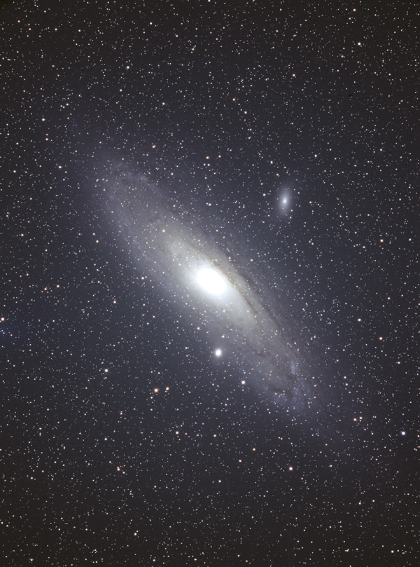 M31