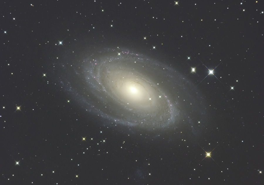 M81