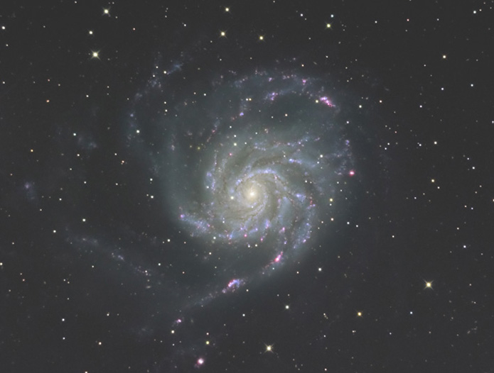 M101