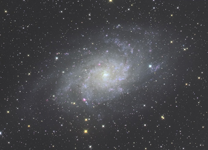 M33