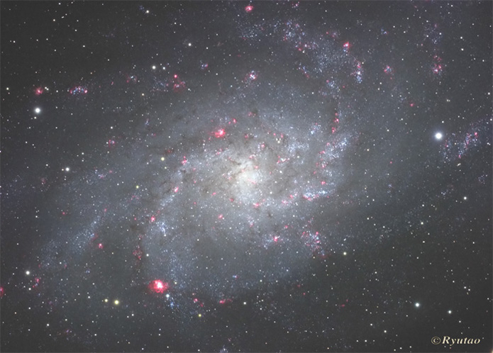 M33