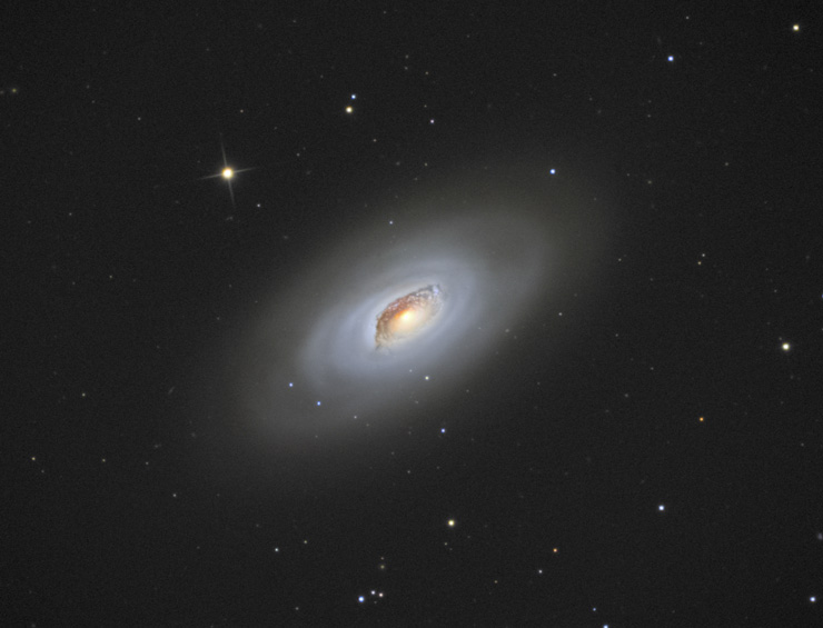 M64