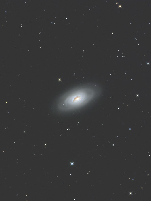 M64