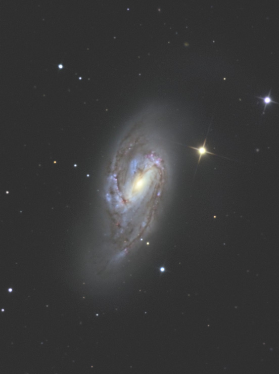 M66