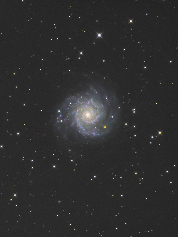 M74