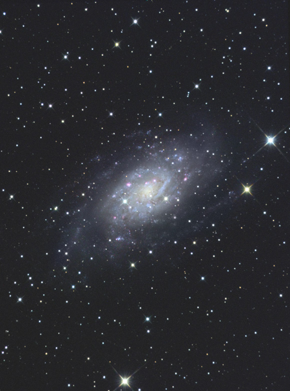 NGC2403