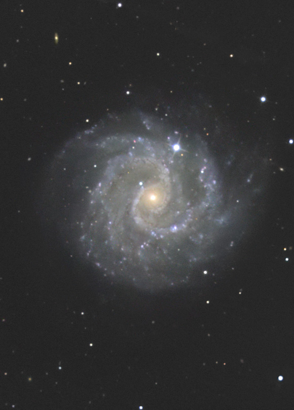 NGC3184