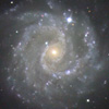 NGC3184