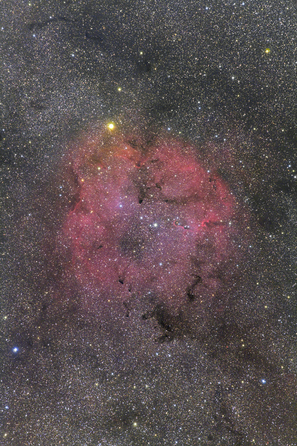 IC1396