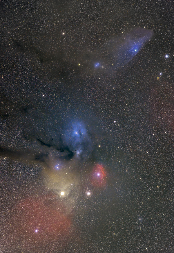 IC4592ƃA^Xt