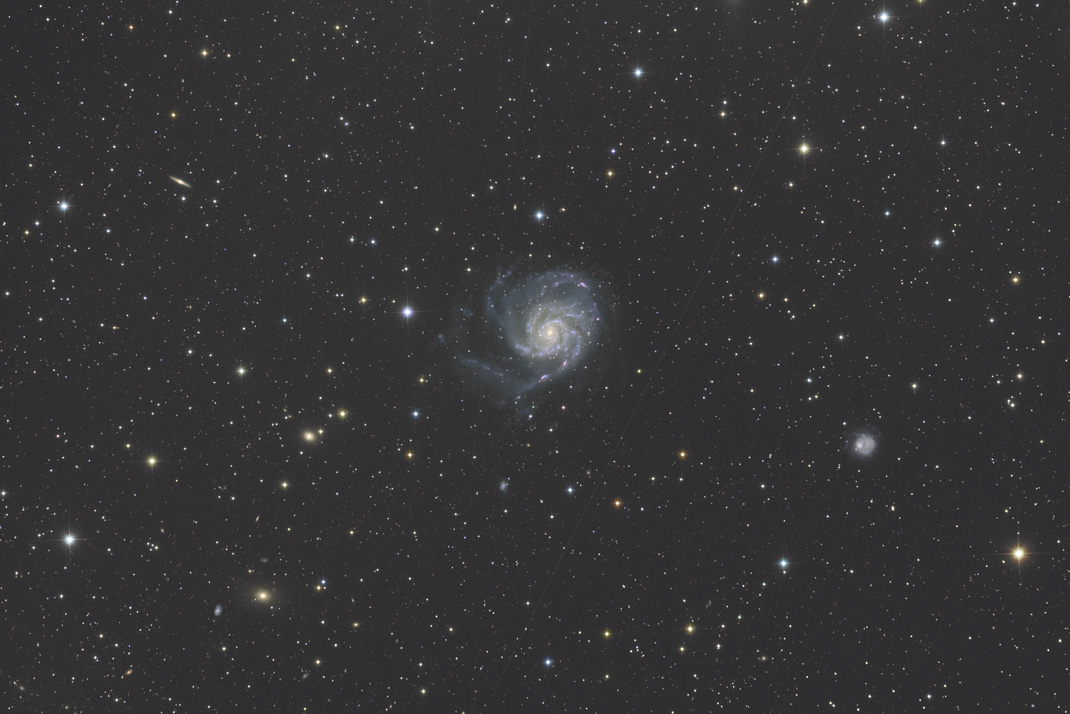 ̏F M101