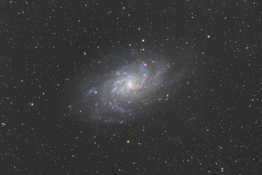 M33