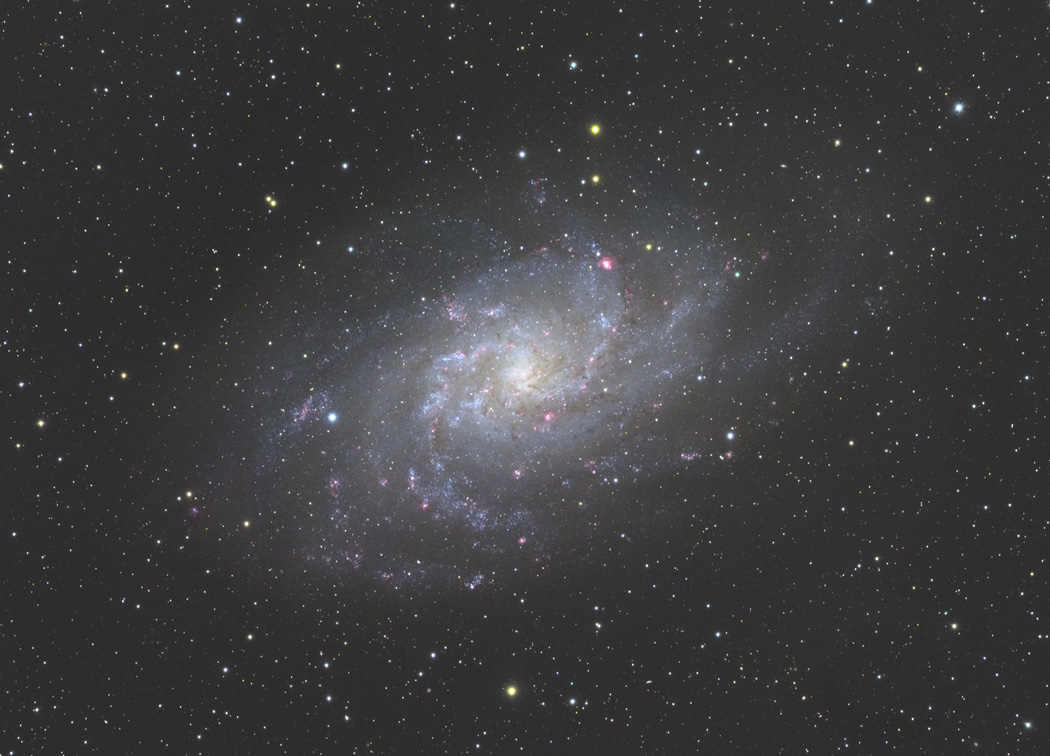 M33