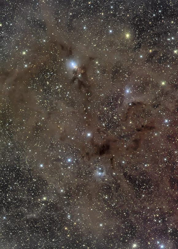 NGC1333vdB16