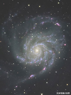 M101