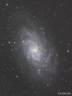 M33