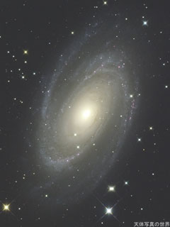 M81